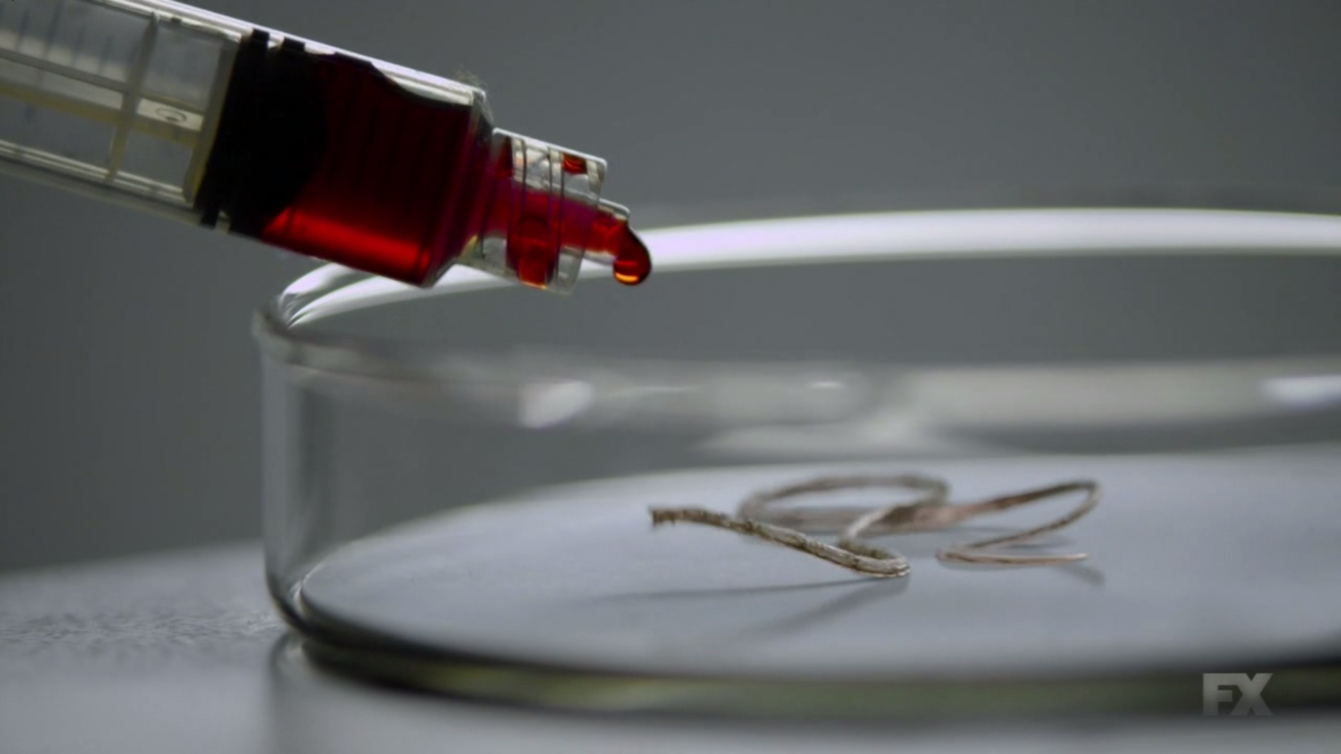 Strigis Science of The Strain (Ciencia Strigoi) – The Strain Spain